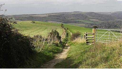 The South Downs Way Near Amberly